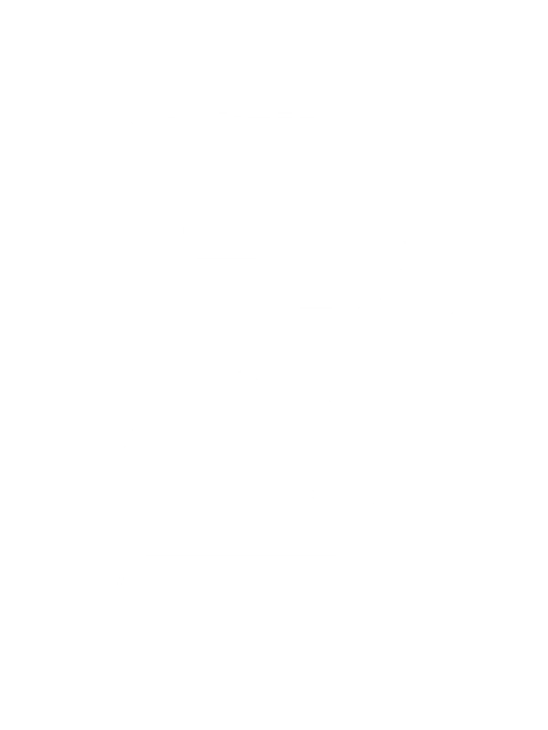 Patricius Artifacts